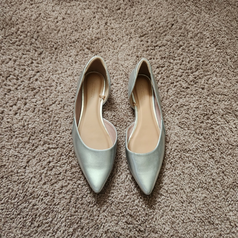 Metallic Silver Flat Shoes